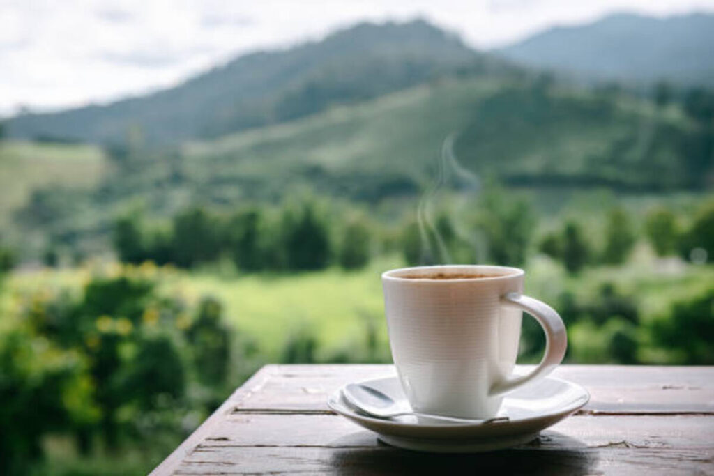 specialty coffee