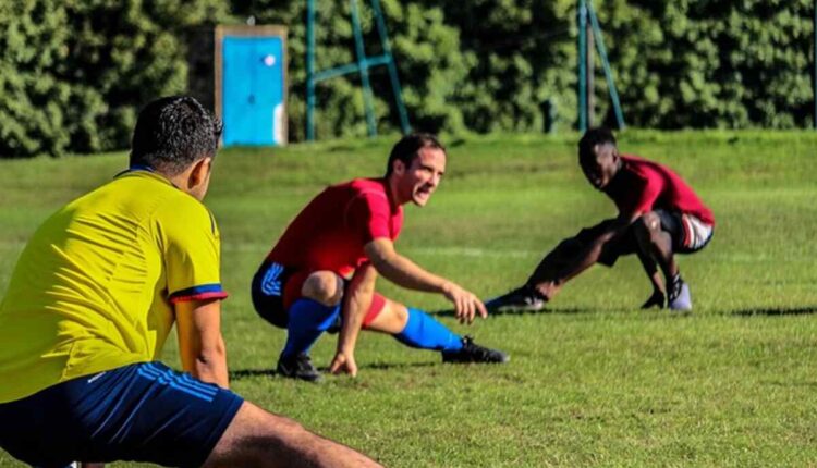 Exploring the Beauty of Saguaro Skeletons